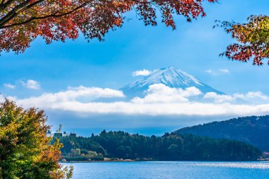 Dağ fuji akçaağaç yaprağı ağaç göl sonbahar sezonu ile güzel manzara