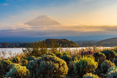 Dağ fuji akçaağaç yaprağı ağaç göl günbatımı zaman Yamanashi Japonya sonbahar sezonu ile güzel manzara
