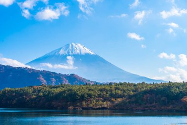 Güzel manzara dağ fuji göl Yamanashi Japonya akçaağaç ağaç yaprak ile