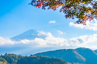 Güzel manzara dağ fuji göl Yamanashi Japonya akçaağaç ağaç yaprak ile