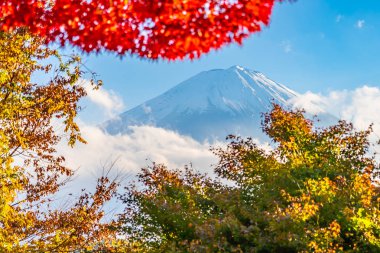 Güzel manzara dağ fuji göl Yamanashi Japonya akçaağaç ağaç yaprak ile