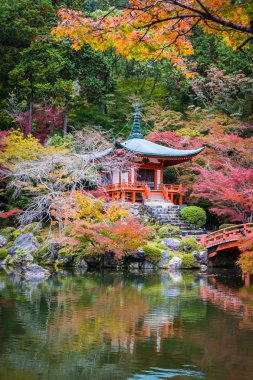 Renkli ağaç ve yaprak sonbahar sezonu Kyoto Japonya ile güzel Daigoji Tapınağı