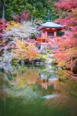 Renkli ağaç ve yaprak sonbahar sezonu Kyoto Japonya ile güzel Daigoji Tapınağı