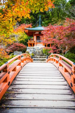 Renkli ağaç ve yaprak sonbahar sezonu Kyoto Japonya ile güzel Daigoji Tapınağı