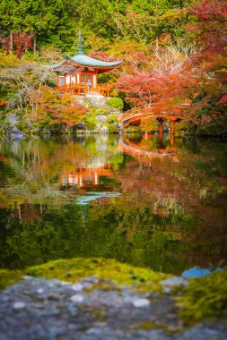 Renkli ağaç ve yaprak sonbahar sezonu Kyoto Japonya ile güzel Daigoji Tapınağı