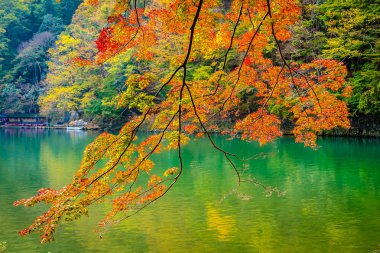 Akçaağaç ağaç yaprak ve sonbahar sezonu Kyoto Japonya göl etrafında tekne ile güzel Arashiyama Nehri