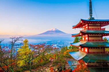 Dağ fuji chureito pagoda akçaağaç ağaç yaprak sonbahar sezonu Yamanashi Japonya çevresinde ile güzel manzara