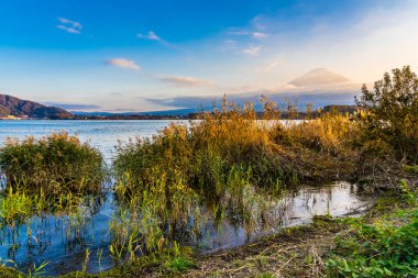 Dağ fuji akçaağaç yaprağı ağaç göl günbatımı zaman Yamanashi Japonya sonbahar sezonu ile güzel manzara
