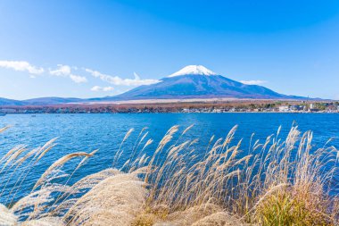 Güzel manzara dağ fuji yamanakako Gölü Japonya çevresinde