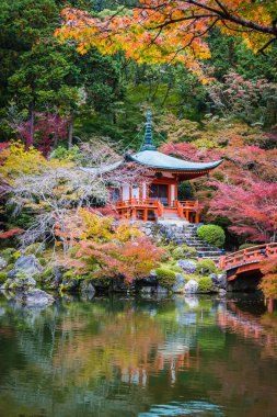 Renkli ağaç ve yaprak sonbahar sezonu Kyoto Japonya ile güzel Daigoji Tapınağı