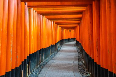 Güzel fushimi Inari tapınak tapınak Kyoto Japonya'da