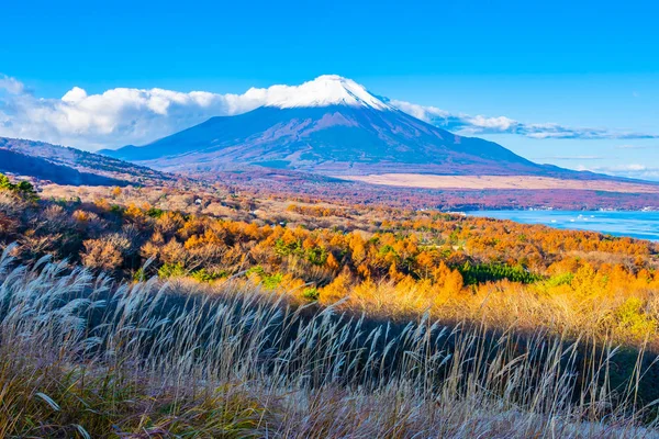 Vackra Landskap Fuji Berg Yamanakako Eller Yamanaka Lake Höstsäsongen Japan — Stockfoto