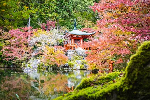 Magnifique Temple Daigoji Avec Arbre Coloré Feuille Automne Kyoto Japon — Photo