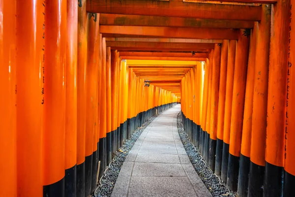 Beautiful Fushimi Inari Shrine Temple Kyoto Japan — Stock Photo, Image