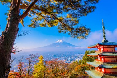 Dağ fuji chureito pagoda akçaağaç ağaç yaprak sonbahar sezonu Yamanashi Japonya çevresinde ile güzel manzara