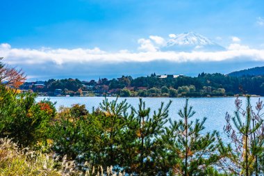 Dağ fuji akçaağaç yaprağı ağaç göl sonbahar sezonu ile güzel manzara