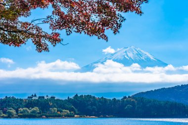 Dağ fuji akçaağaç yaprağı ağaç göl sonbahar sezonu ile güzel manzara