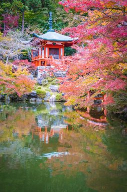 Renkli ağaç ve yaprak sonbahar sezonu Kyoto Japonya ile güzel Daigoji Tapınağı