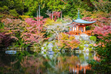 Renkli ağaç ve yaprak sonbahar sezonu Kyoto Japonya ile güzel Daigoji Tapınağı
