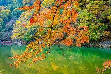 Akçaağaç ağaç yaprak ve sonbahar sezonu Kyoto Japonya göl etrafında tekne ile güzel Arashiyama Nehri