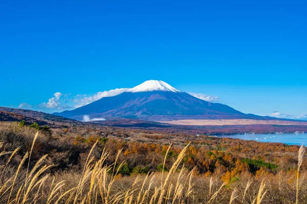 Vackra Landskap Fuji Berg Yamanakako Eller Yamanaka Lake Höstsäsongen Japan — Stockfoto