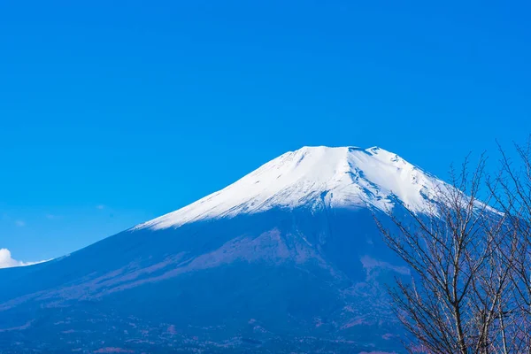 Bellissimo Paesaggio Fuji Montagna Intorno Lago Yamanakako Giappone — Foto Stock