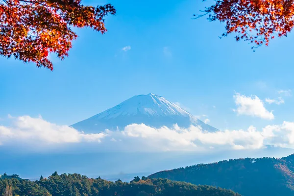 Bela Paisagem Fuji Montanha Com Árvore Folha Bordo Torno Lago — Fotografia de Stock