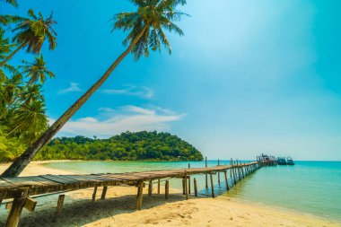 Güzel tropikal plaj ve deniz paradise Island Seyahat ve tatil için Hindistan cevizi hurma ağacı