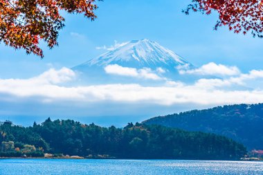Dağ fuji akçaağaç yaprağı ağaç göl sonbahar sezonu ile güzel manzara