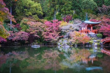 Renkli ağaç ve yaprak sonbahar sezonu Kyoto Japonya ile güzel Daigoji Tapınağı