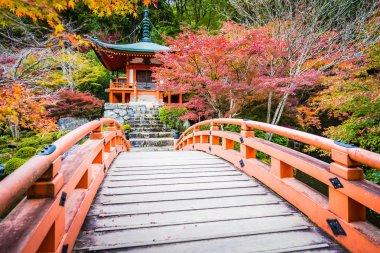 Renkli ağaç ve yaprak sonbahar sezonu Kyoto Japonya ile güzel Daigoji Tapınağı