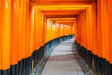 Güzel fushimi Inari tapınak tapınak Kyoto Japonya'da