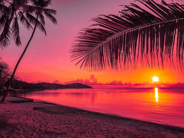 Hermosa Playa Tropical Mar Océano Con Palmera Coco Amanecer Para —  Fotos de Stock