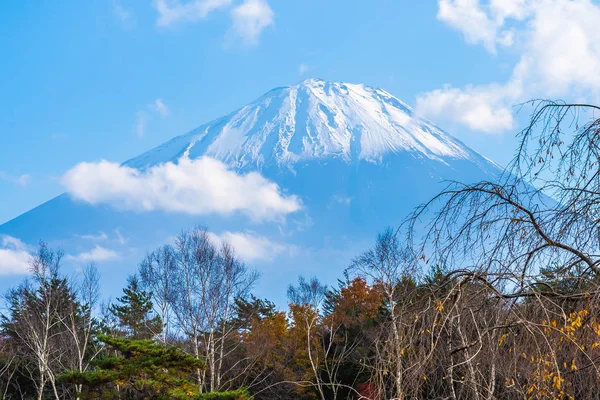 Hermoso Paisaje Montaña Fuji Con Árbol Hoja Arce Alrededor Del — Foto de Stock