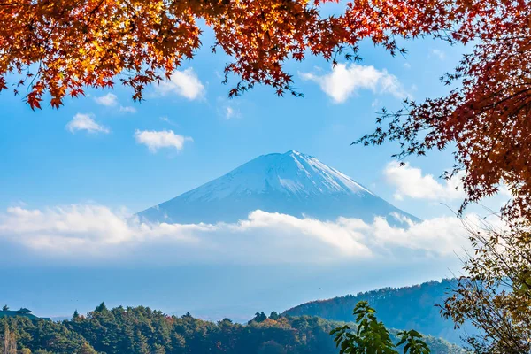 Bellissimo Paesaggio Montagna Fuji Con Acero Foglia Intorno Lago Yamanashi — Foto Stock