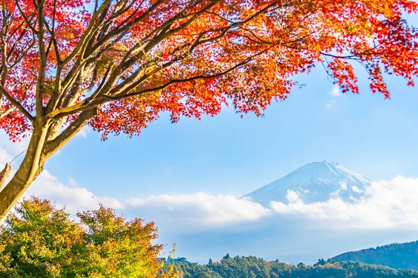 Beautiful landscape of mountain fuji with maple leaf tree around lake in Yamanashi Japan