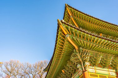 Alace Sarayı landmark Seoul City Güney Kore bina güzel mimari