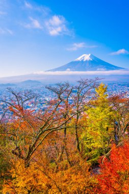 Güzel manzara dağ fuji akçaağaç yaprağı ağaç beyaz bulut ve Yamanashi Japonya sonbahar sezonu mavi gökyüzü ile çevresinde
