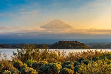 Dağ fuji akçaağaç yaprağı ağaç göl günbatımı zaman Yamanashi Japonya sonbahar sezonu ile güzel manzara
