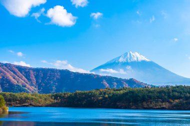 Güzel manzara dağ fuji göl Yamanashi Japonya akçaağaç ağaç yaprak ile