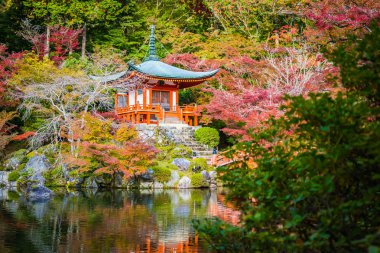 Renkli ağaç ve yaprak sonbahar sezonu Kyoto Japonya ile güzel Daigoji Tapınağı