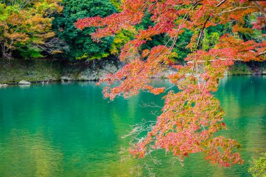 Akçaağaç ağaç yaprak ve sonbahar sezonu Kyoto Japonya göl etrafında tekne ile güzel Arashiyama Nehri