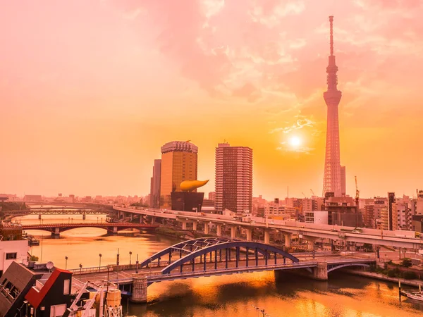 Beautiful Cityscape Tokyo Sky Tree Architecture Building Tokyo City Japan — Stock Photo, Image