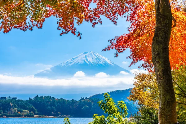 Hermoso Paisaje Montaña Fuji Con Árbol Hoja Arce Alrededor Del — Foto de Stock