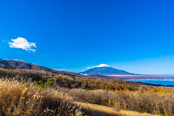 Bela Paisagem Montanha Fuji Yamanakako Lago Yamanaka Temporada Outono Japão — Fotografia de Stock