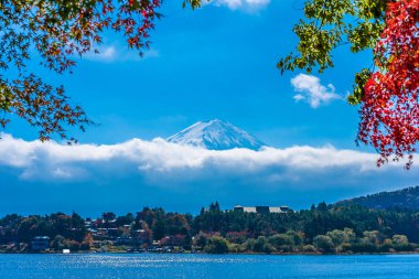 Dağ fuji akçaağaç yaprağı ağaç göl sonbahar sezonu ile güzel manzara