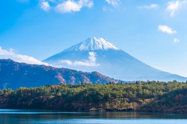 Güzel manzara dağ fuji göl Yamanashi Japonya akçaağaç ağaç yaprak ile