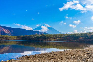 Güzel manzara dağ fuji göl Yamanashi Japonya akçaağaç ağaç yaprak ile