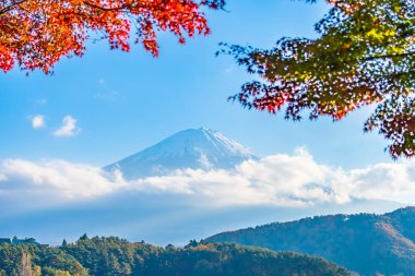 Güzel manzara dağ fuji göl Yamanashi Japonya akçaağaç ağaç yaprak ile