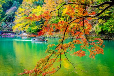 Akçaağaç ağaç yaprak ve sonbahar sezonu Kyoto Japonya göl etrafında tekne ile güzel Arashiyama Nehri